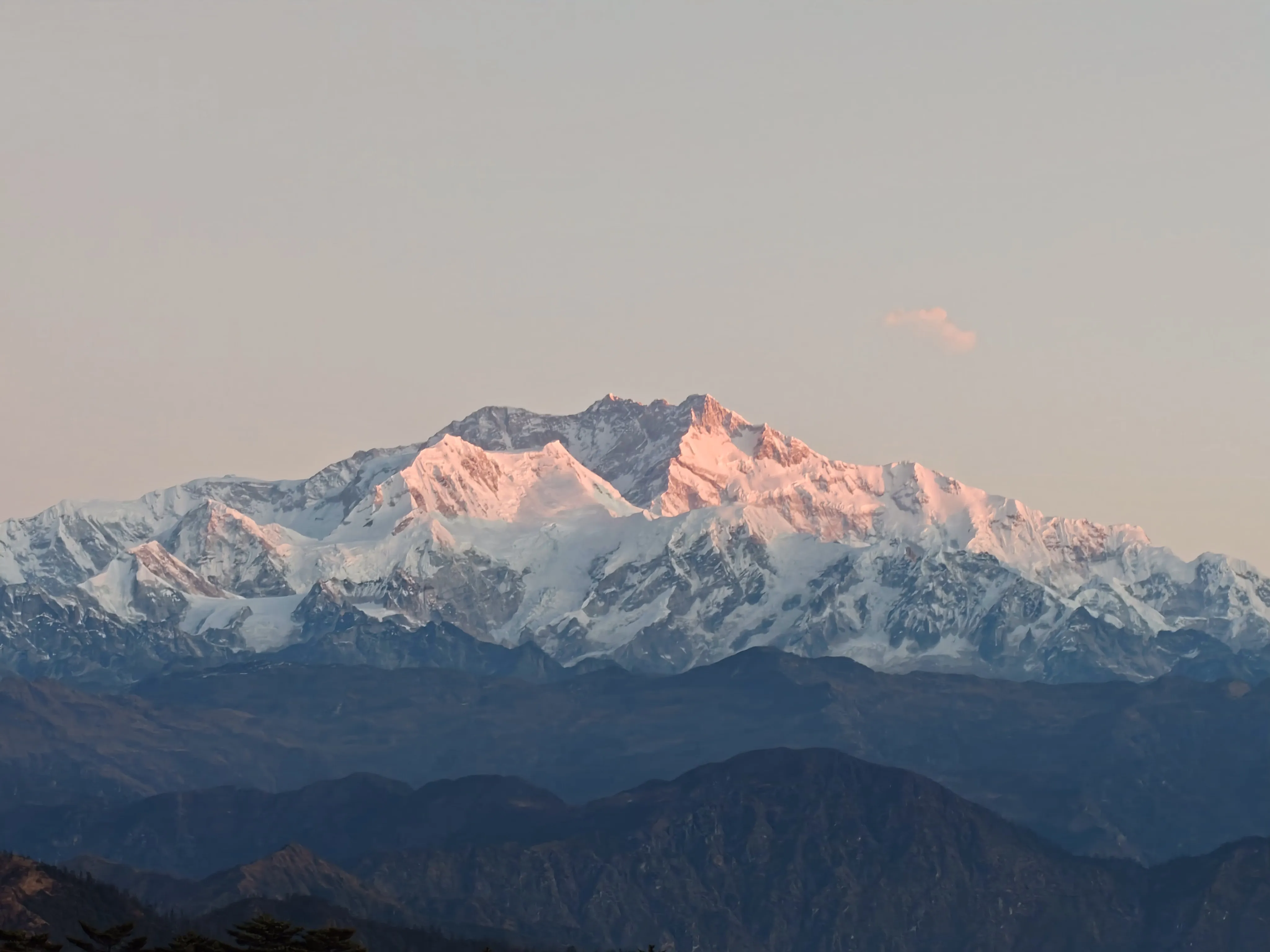 Worth the early wake up